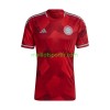 Maillot de Foot Colombie Exterieur 2022/23